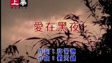 许茹芸 - 爱在黑夜