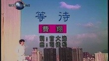 费翔 - 等待