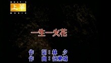 张学友 - 一生一火花