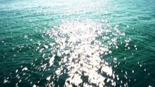 RyanDan - Like The Sun