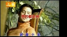 张学友 - 想的都是她