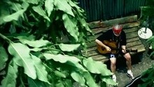 Willie Nelson - The Harder They Come