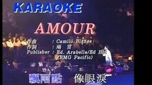 张学友 - AMOUR