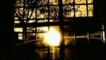 雪儿·克罗 - Everyday Is A Winding Road