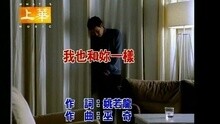张学友 - 我也和你一样