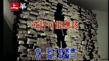 许美静 - 或许可能应该