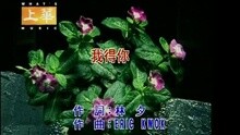 张学友 - 我得你