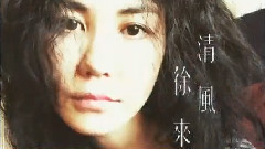 王菲 - 清风徐来 剪辑版