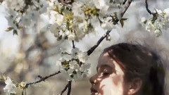 音乐短片 - Song For Sienna