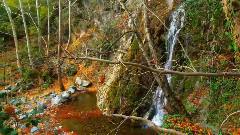 音乐短片 - Colorful Autumn