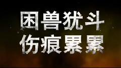 刘亦菲,影视原声 - 电影< 四大名捕2 >拍摄花絮-动作场景制作特辑