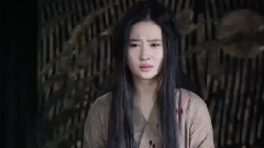 刘亦菲,影视原声 - 电影< 四大名捕2 >剧场版预告片2
