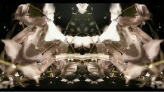 音乐短片 - Flowers