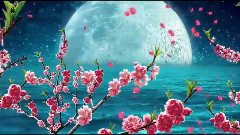 音乐短片 - 相思的苦