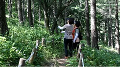 音乐短片 - 野花