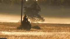 音乐短片 - 天 之 大