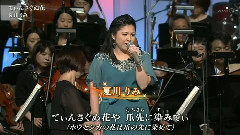 夏川里美 - てぃんさぐぬ花