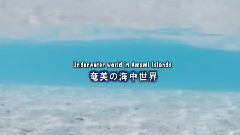 音乐短片,轻音乐,风景 - 奄美的海底世界