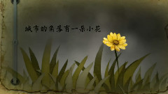 洛天依 - 无名花