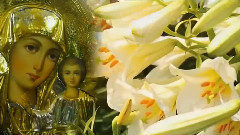 音乐短片 - Composer