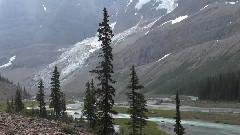 音乐短片 - 飞鸟各投林