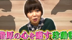 AKB48,HKT48 - HKT48のおでかけ! EP135