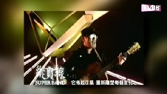 亡命之徒 TVB版