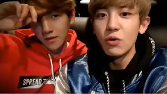 边伯贤(EXO),朴灿烈(EXO),EXO - 宠爱