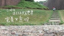 枝芽