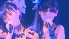 SNH48 - 夜蝶