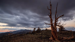 音乐短片 - Roads Untraveled