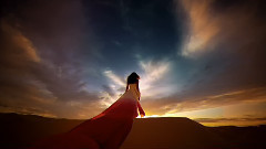 音乐短片 - Magic Chihuahua