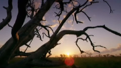 音乐短片 - 秋天的足迹