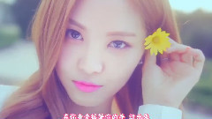 尹普美(Apink),吴夏荣(Apink),朴初珑(Apink),金南珠(Apink),Apink - Petal(花瓣占卜)
