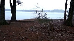 音乐短片 - It's All Happening The Pond - Steady Dragon Stabilizer