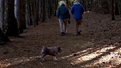 音乐短片 - Cutie Pie Plays The Pond