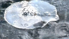 音乐短片 - Water Ice And Stone