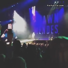 Shawn Mendes - 万人大合唱