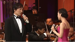 日本群星 - 美女と野獣