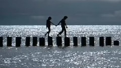 音乐短片 - White Dove Превод