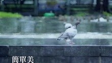 李克勤 - 简单美