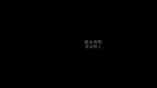 Hideaki Tokunaga - Hanawa Saku