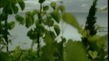 Pazzo Di Lei