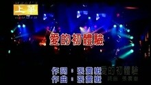 李翊君 - 爱的初体验