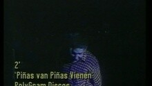 Piñas Van, Piñas Vienen
