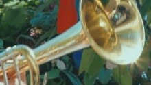 Mori Kız