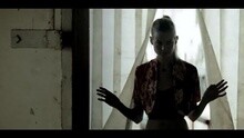 Maroon 5 - Animals