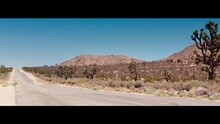 Afrojack - SummerThing!