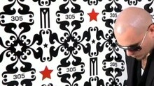 Pitbull - I Know You Want Me (calle ocho)