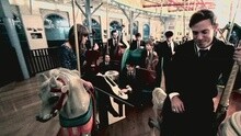 The Airborne Toxic Event - Half Of Something Else